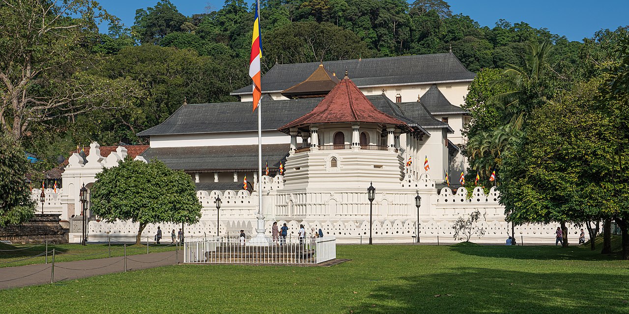 Package gallery image